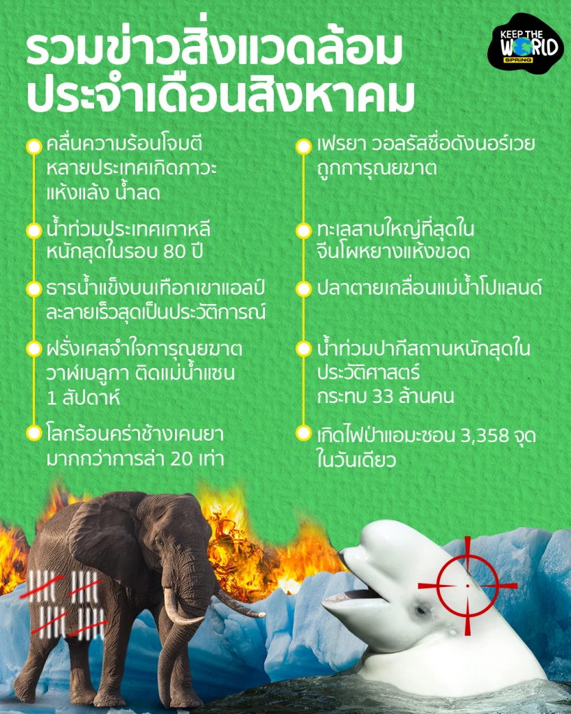 รวมข่าวสิ่งแวดล้อมประจำเดือนสิงหาคม ครึ่งปีแล้ว เกิดอะไรขึ้นบ้าง?
