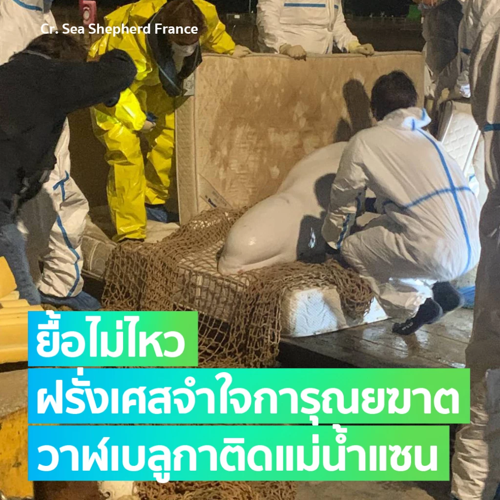 รวมข่าวสิ่งแวดล้อมประจำเดือนสิงหาคม ครึ่งปีแล้ว เกิดอะไรขึ้นบ้าง?